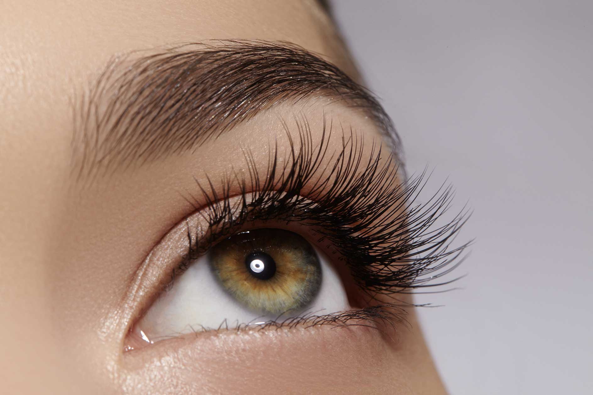 Maryland-Approved Lash Extension Continuing Education Course